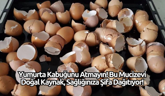 Yumurta Kabuğunu Atmayın! Bu Mucizevi Doğal Kaynak, Sağlığınıza Şifa Dağıtıyor!