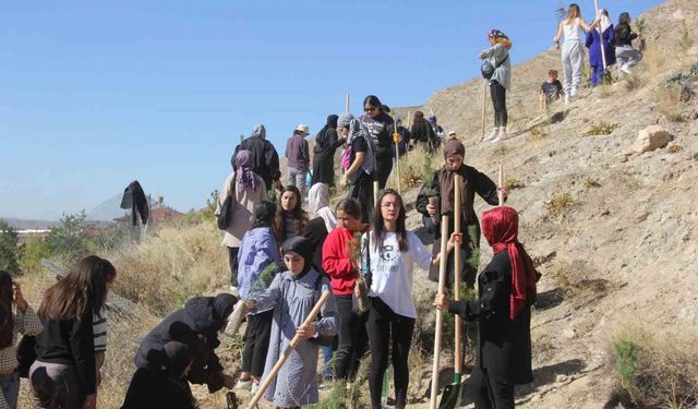 Sivas'ta Uluslararası  Ağaçlandırma Seferberliği