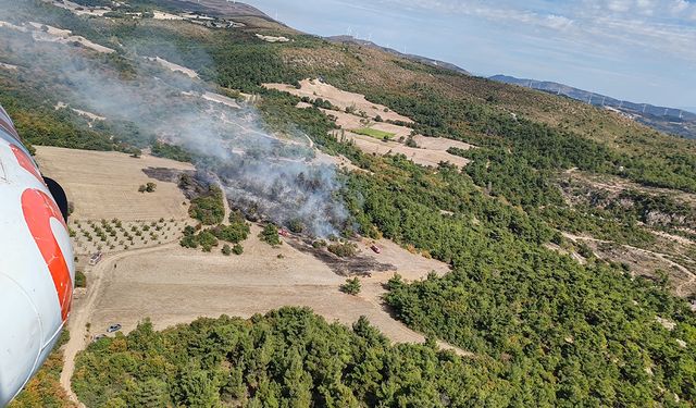 Manisa’da Tarım Alanında Yangın: Ormana Sıçradı