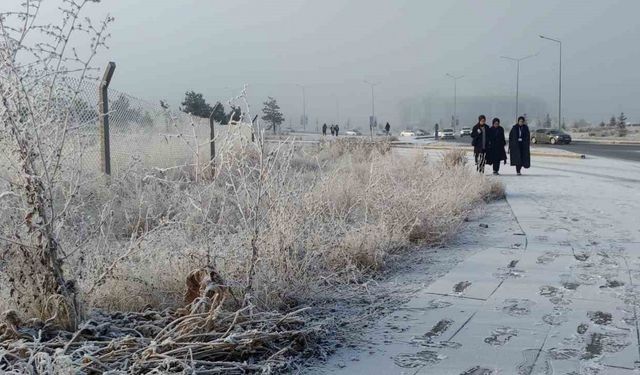 Erzurum Güne Kırağı ve Sis ile Uyandı