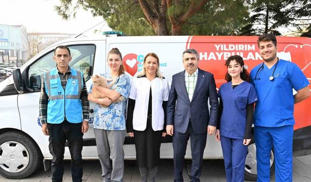 Yıldırım Belediyesi’nden Hayvanlara Acil Müdahale: 'Haybulans' Hizmete Girdi