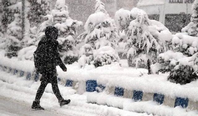 Erzincan'da Okullar Tatil Mi? 26 Kasım Salı İçin Valilikten Kar Tatili Açıklaması