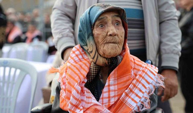 95 Yaşındaki Hatice Nine, Deve Güreşlerine Olan Tutkusunu 70 Yıldır Sürdürüyor