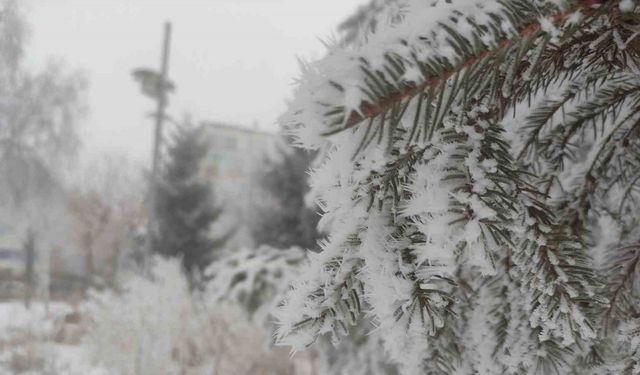 Ardahan’da Sibirya Soğukları Etkisini Sürdürüyor