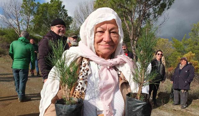 Burhaniye'de Hayat Dersi: 83 Yaşındaki Leyla Teyze Fidan Dikerek Örnek Oldu