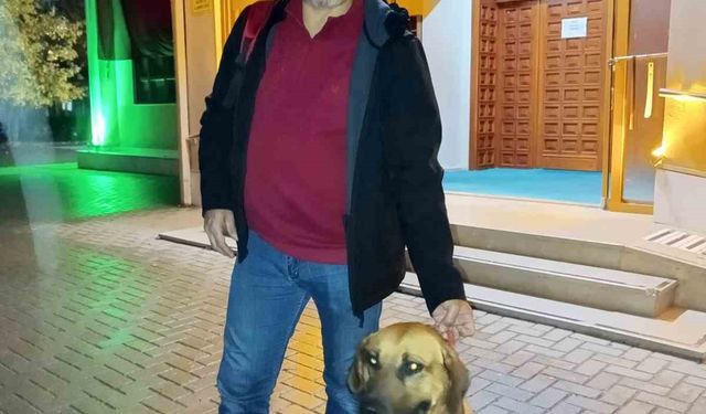 Bursa’da Camiye Giden Sahibine Eşlik Eden Sadık Köpek: Tarçın