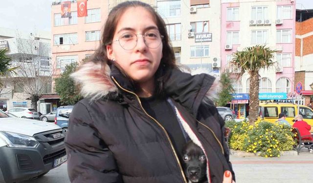 Burhaniye’de Lise Öğrencisi Ilgın Duman’ın Hayvan Sevgisi Takdir Topladı