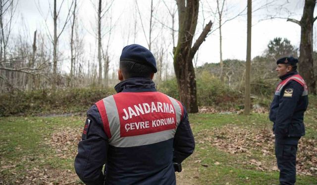 Bursa Karacabey’de Kaçan Ayı 9 Gün Sonra Yakalandı