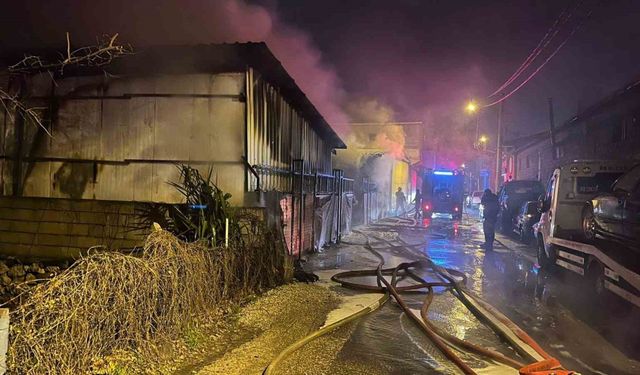 Bursa’da Oto Galeriye Ait Park Alanında Yangın: 10 Araç Kül Oldu