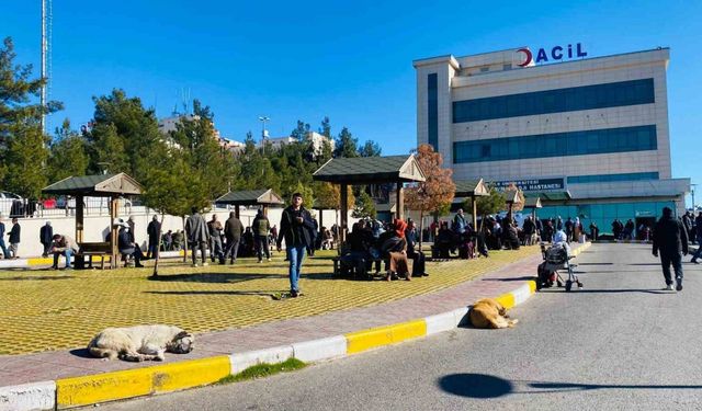 Diyarbakır'da Başlıboş Sokak Köpeği Saldırısında 5 Yaşındaki Çocuk Yaralandı