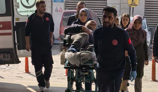 İnegöl'de Budama Yapan Şahıs Ağaçtan Düşerek Yaralandı