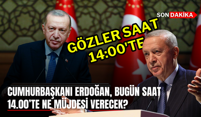 Cumhurbaşkanı Erdoğan, Bugün Saat 14.00’te Ne Müjdesi Verecek?