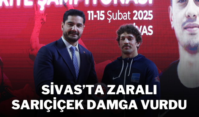 Sivas’ta Zaralı Sarıçiçek Damga Vurdu