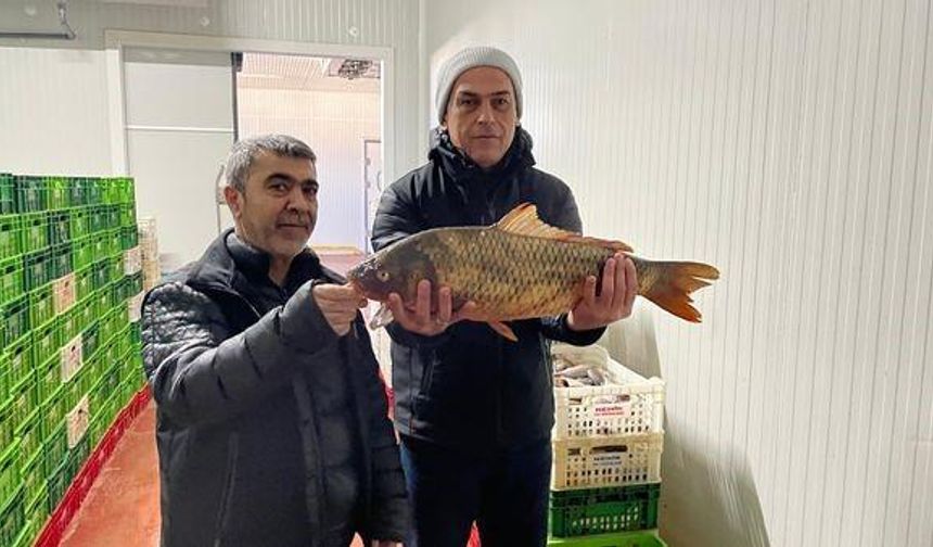 Beyşehir Gölü'nde balık avı denetimleri sıklaştırıldı
