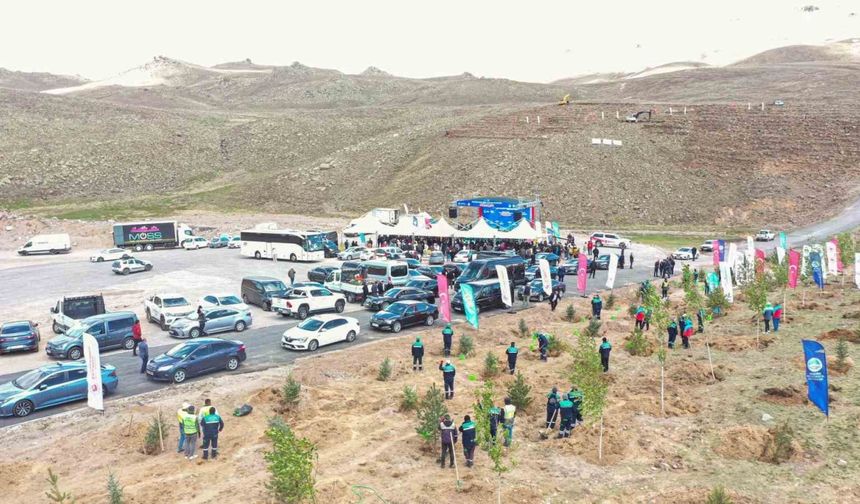 Erciyes'te 271 Bin 500 Fidan Dikimi Yapıldı