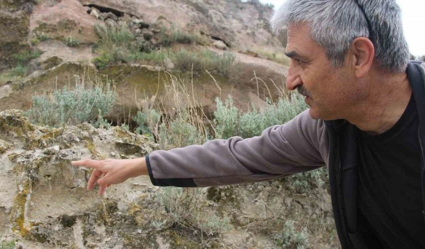 Kayseri'de 10 Milyon Yıllık Ağaç Fosilleri Keşfedildi: Türkiye'de Neredeyse Bu Kadar Güzel Korunmuş Başka Bölge Yok!