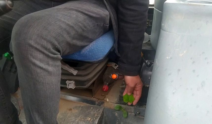 Sivas'ta Traktörün İçinde Kabak Filizlendi: Çiftçi Hayrete Düştü!