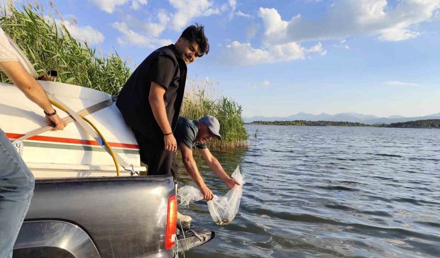 Beyşehir Gölü'ne 2.5 Milyon Yavru Sazan Balığı Salındı
