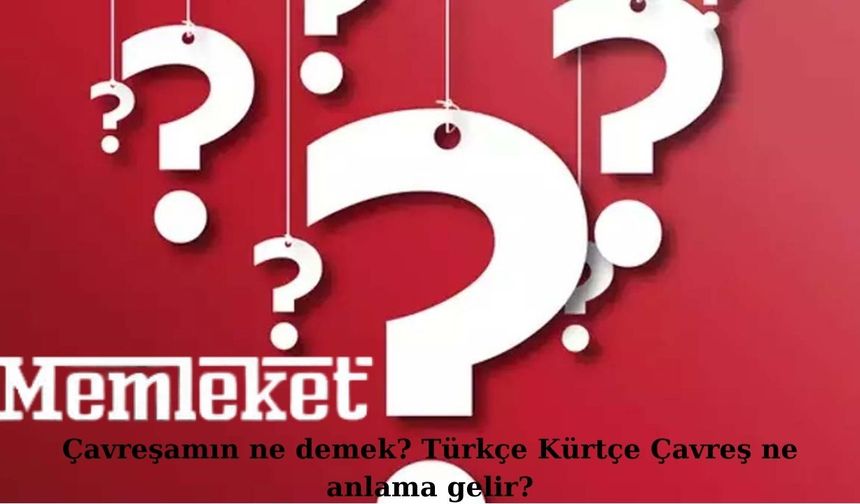 Çavreşamın ne demek? Türkçe Kürtçe Çavreş ne anlama gelir?