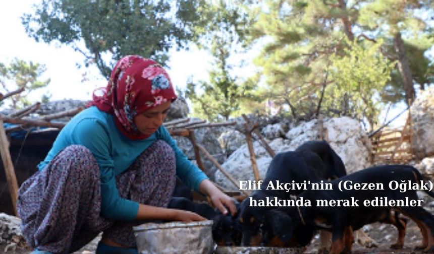 Elif Akçivi'nin (Gezen Oğlak) Yaşı, Eğitimi ve Kişisel Hayatıyla İlgili Merak Edilenler