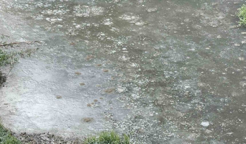 Ağrı’da Soğuk Hava Etkisini Gösterdi: Kent Dondu