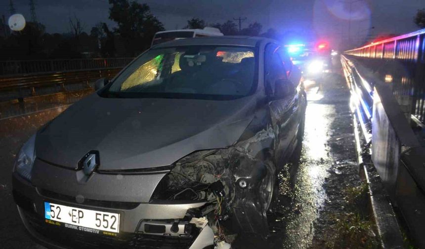 Ordu’da Kediye Çarpmamak İçin Bariyerlere Çarpan Otomobilde 2 Yaralı