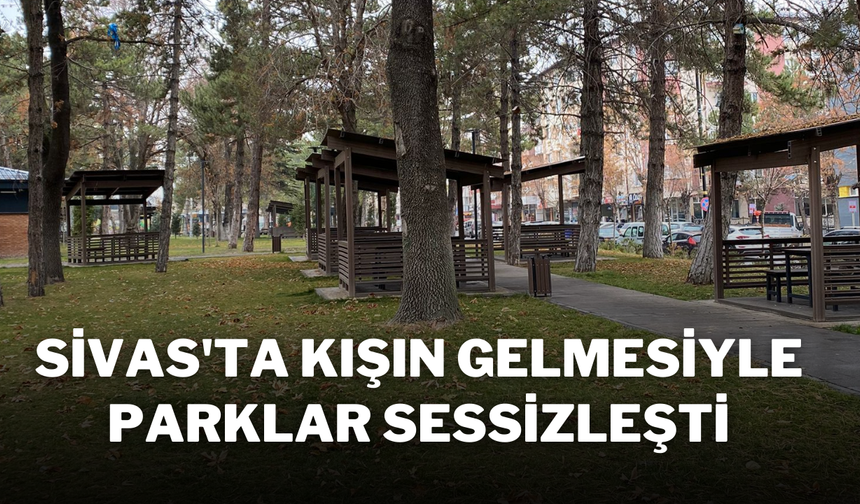 Sivas'ta Kışın Gelmesiyle Parklar Sessizleşti