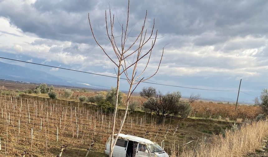 Denizli'de Araç Üzüm Bağlarına Uçtu