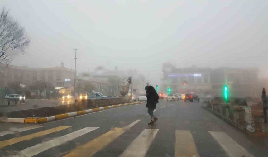 Erzincan’da Sis ve Soğuk Hava Hayatı Zorlaştırdı