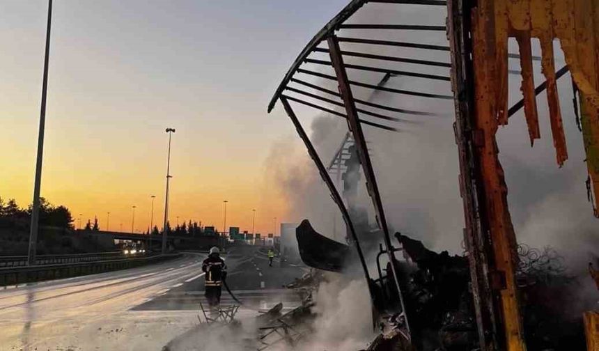 Kargo Yüklü Tırda Yangın: Dorse ve Ürünler Yanarak Kullanılamaz Hale Geldi