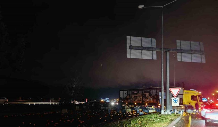 Muğla’da Tırdan Saçılan Tonlarca Narenciye Yolu Kapattı