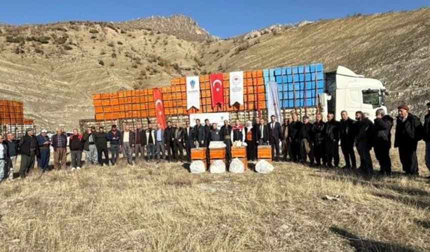 Şırnak’ta Arıcılığı Geliştirme Projesi Başladı: 4,5 Milyon TL’lik Destek