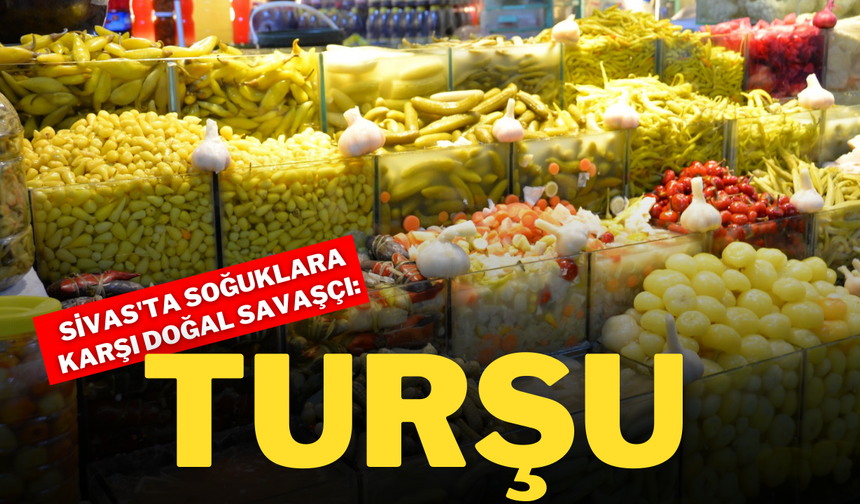 Sivas'ta Soğuklara Karşı Doğal Savaşçı: Turşu