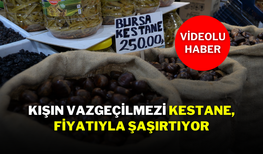 Kışın Vazgeçilmezi Kestane, Fiyatıyla Şaşırtıyor