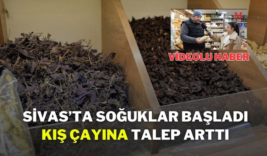 Sivas’ta Soğuklar Başladı, Kış Çayına Talep Arttı