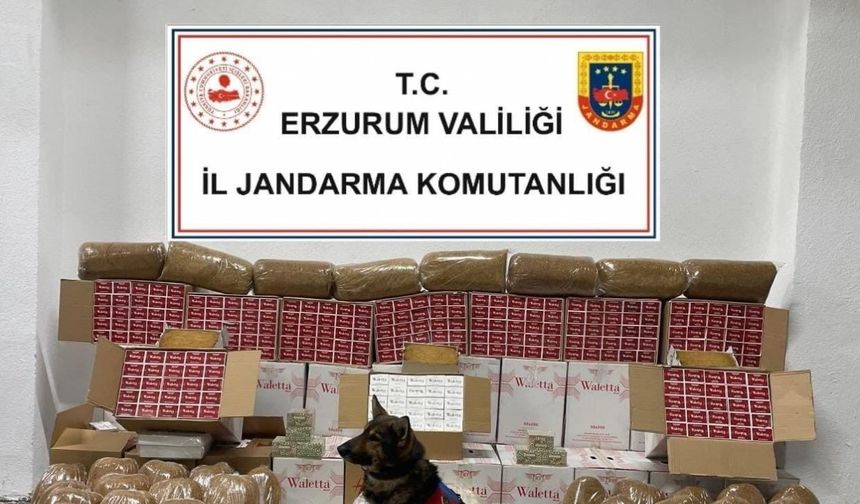 Erzurum’da Jandarma Ekipleri, Tütün Kaçakçılığına Yönelik Operasyon Gerçekleştirdi