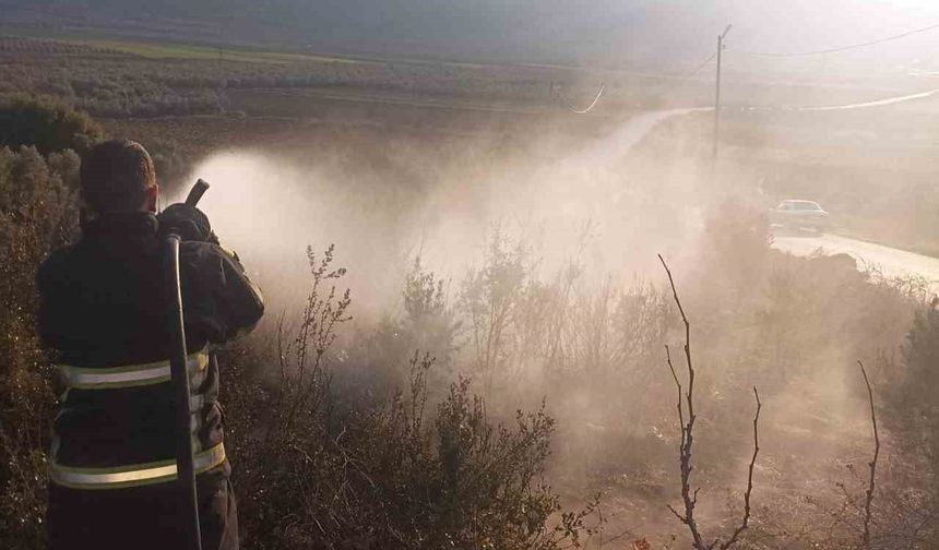 Hatay Yayladağı'nda Zeytinlik Alanda Yangın