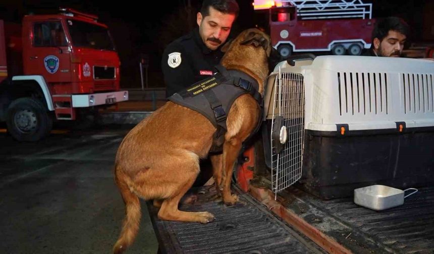 Kırıkkale Belediyesi İtfaiyesi, Konya’daki Çöken Binada Arama-Kurtarma Çalışmalarına Destek Veriyor