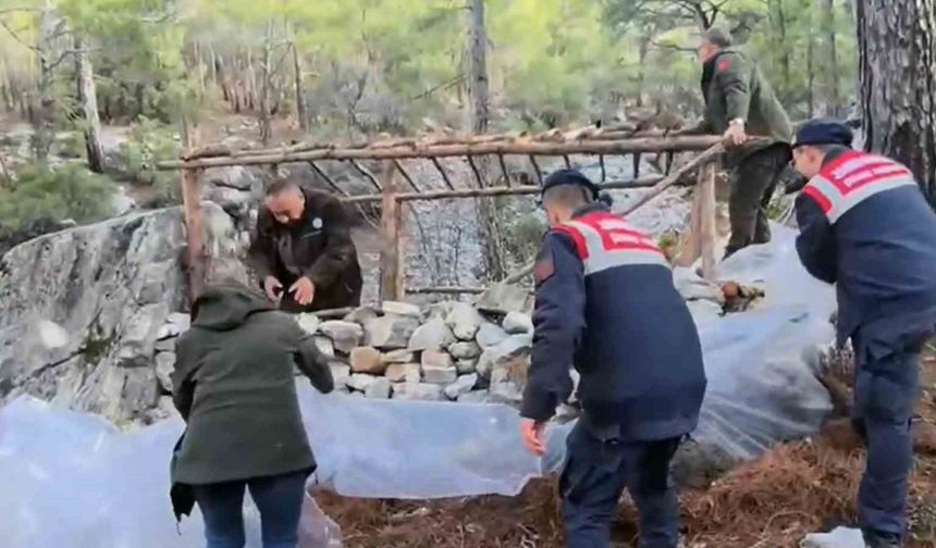 Muğla’da Kaçak Yaban Keçisi Avcılığına Darbe