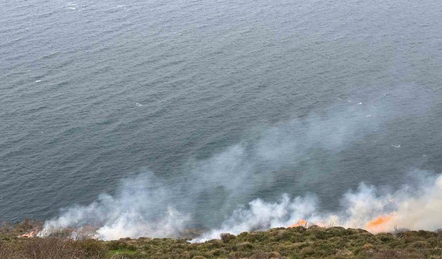 Sinop'ta Çevre Felaketi! 20 Dönüm Ağaçlık Alan Küle Döndü