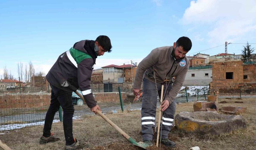 Talas Belediyesi Kırsal Mahallelerde Ağaçlandırma Çalışmalarına Başladı