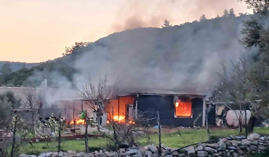 Bodrum’da Sobadan Çıkan Yangında 1 Kişi Yaralandı