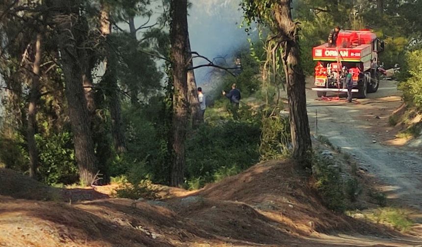 Hatay’ın Payas İlçesinde Ormanlık Alanda Çıkan Yangın Kontrol Altına Alındı