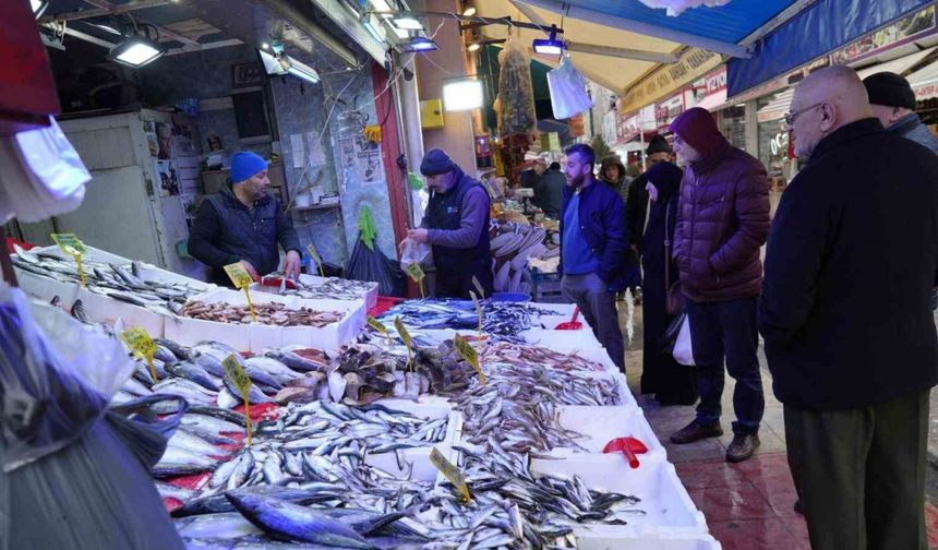 Sibirya Soğukları Karadeniz'de Hamsiyi Şımarttı