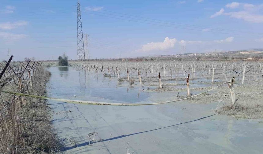 Üzüm Bağında Gaz ve Su Fışkıran Patlama