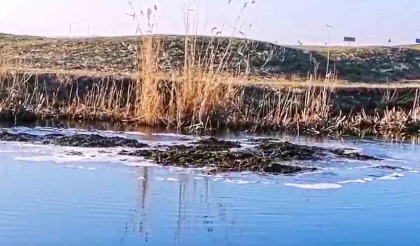 Yer Altından Fışkıran Toprak, Doğaseverleri Şaşkına Çevirdi